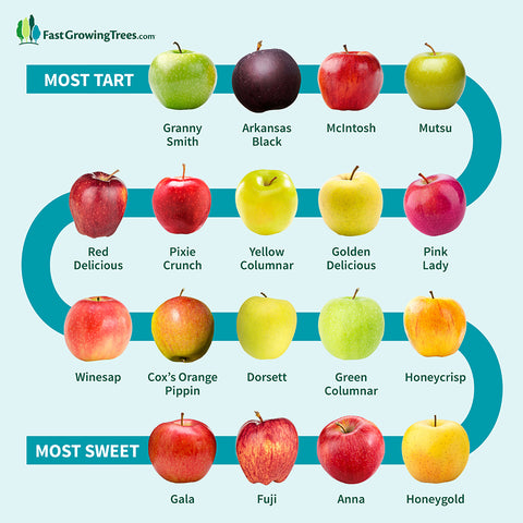 Graphic displaying sweetness and tartness of different types of apples