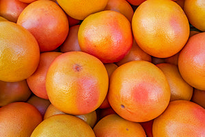 Grapefruit Trees image